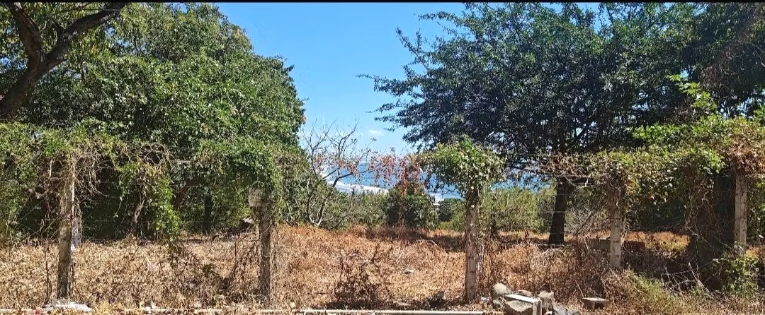 Sombra y Mar Lot, La Libertad, El Salvador — photo 3