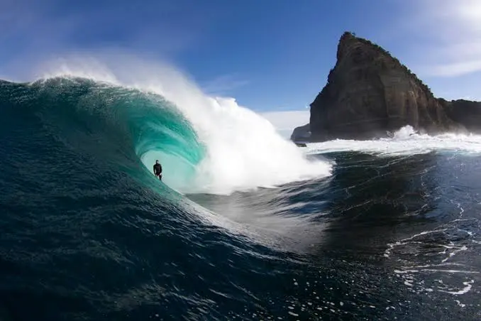 Shipstern Bluff "Shippies"