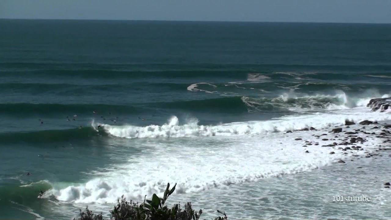 Angourie Point