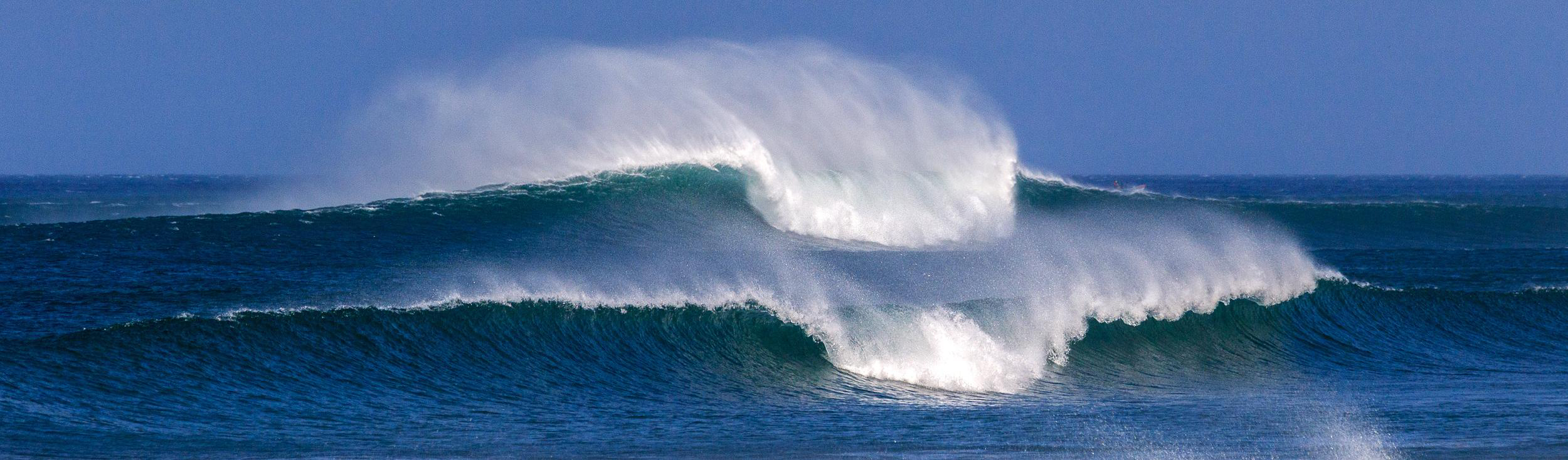 Panga Drops