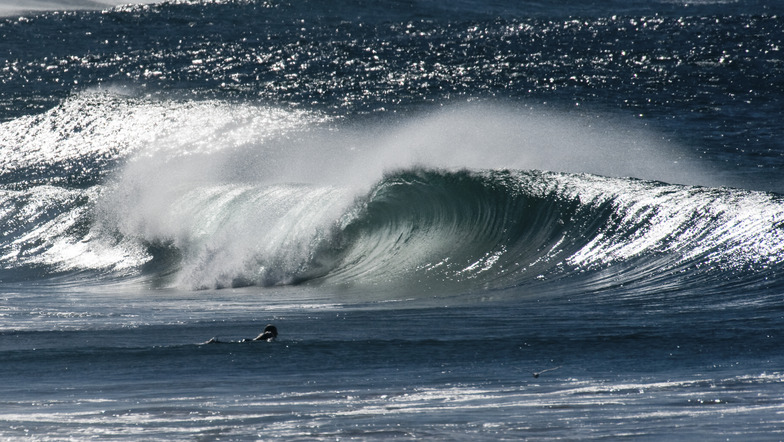 Cronulla Beaches