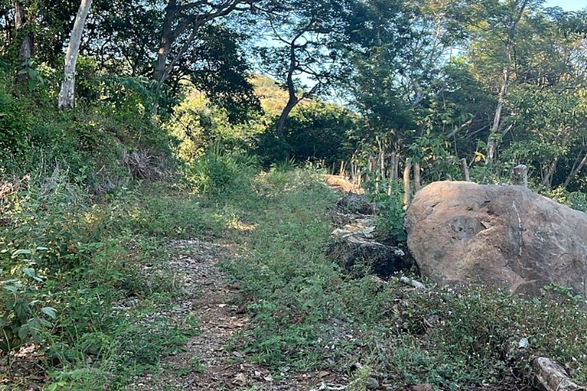 El Zonte Oceanview Lot - 4