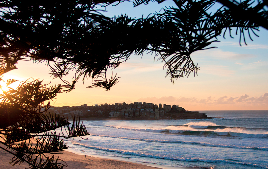 Bondi Beach (Sydney)
