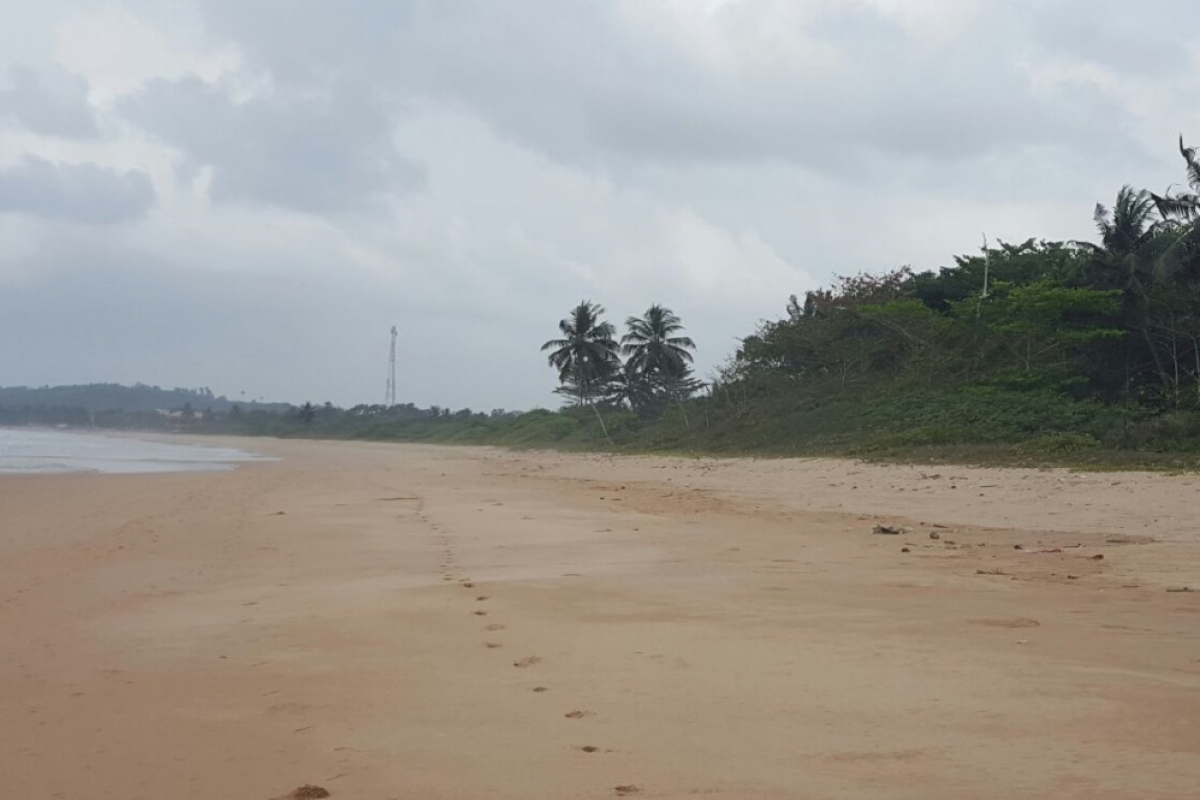 25-Acre Beachfront Surf Development Opportunity Busua, Ghana - 3