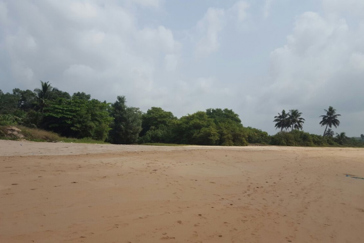 25-Acre Beachfront Surf Development Opportunity Busua, Ghana - 5