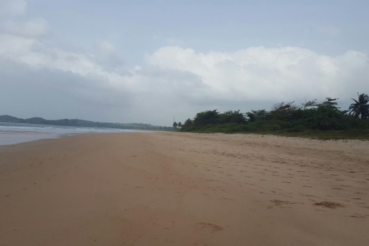 25-Acre Beachfront Surf Development Opportunity Busua, Ghana - 2