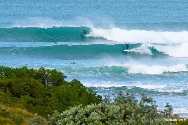 Piha