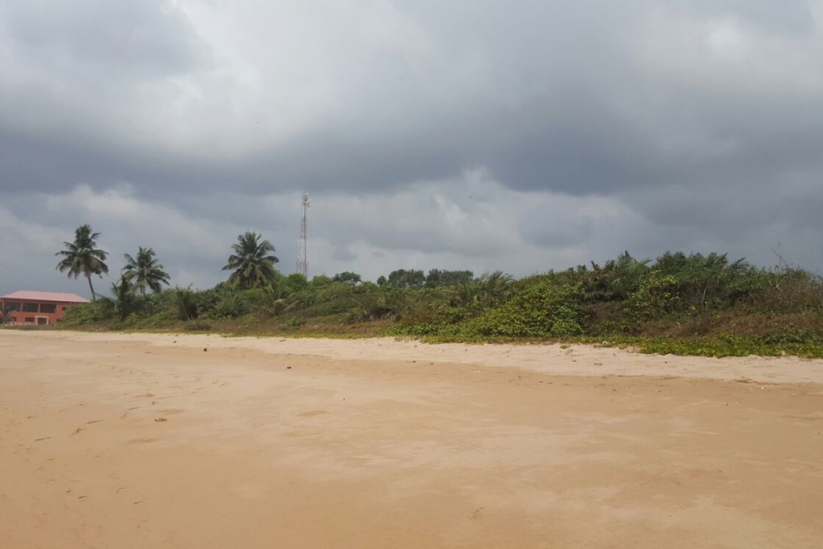25-Acre Beachfront Surf Development Opportunity Busua, Ghana - 4