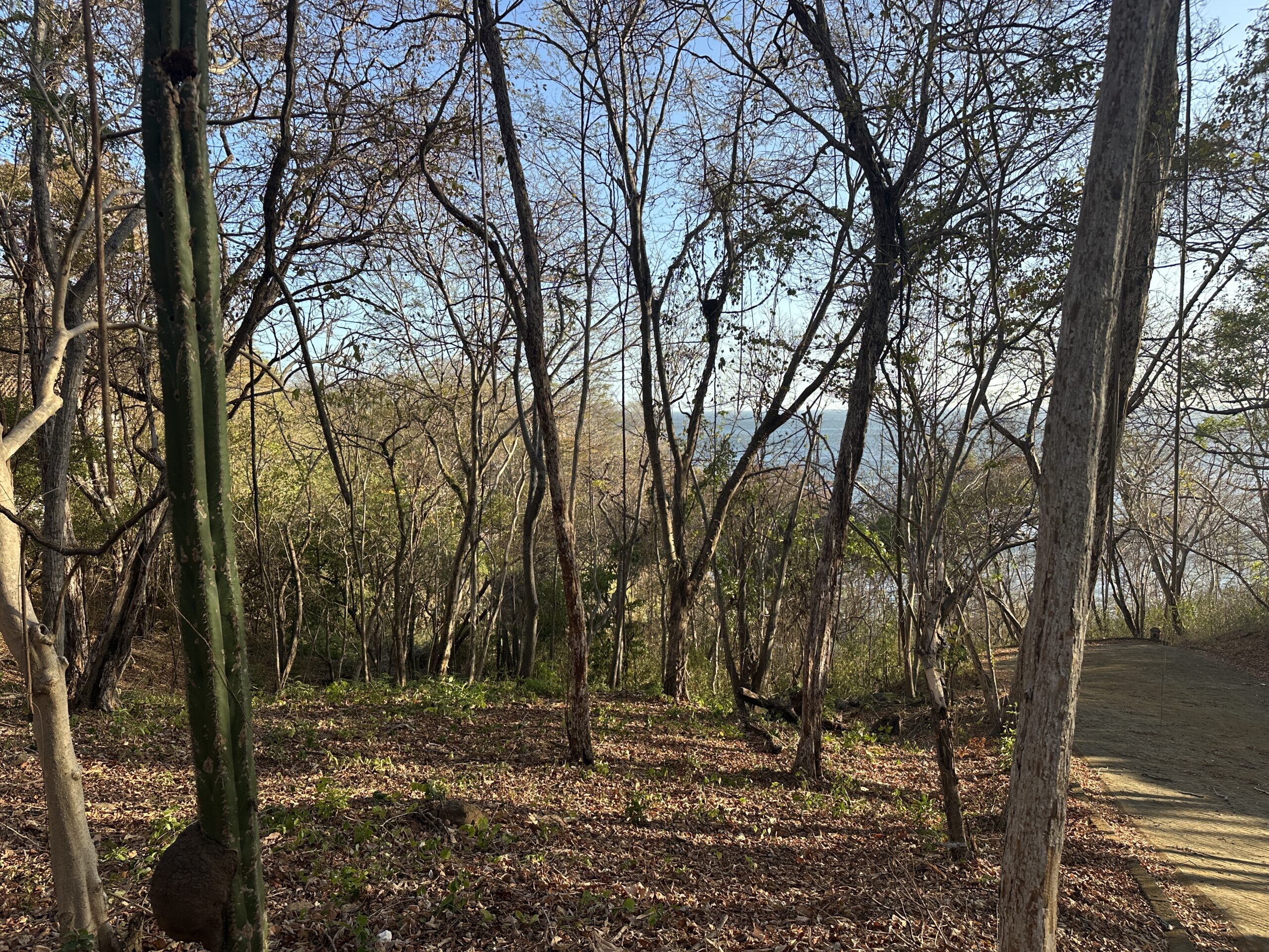 Redonda Bay Seaview Lot - 5