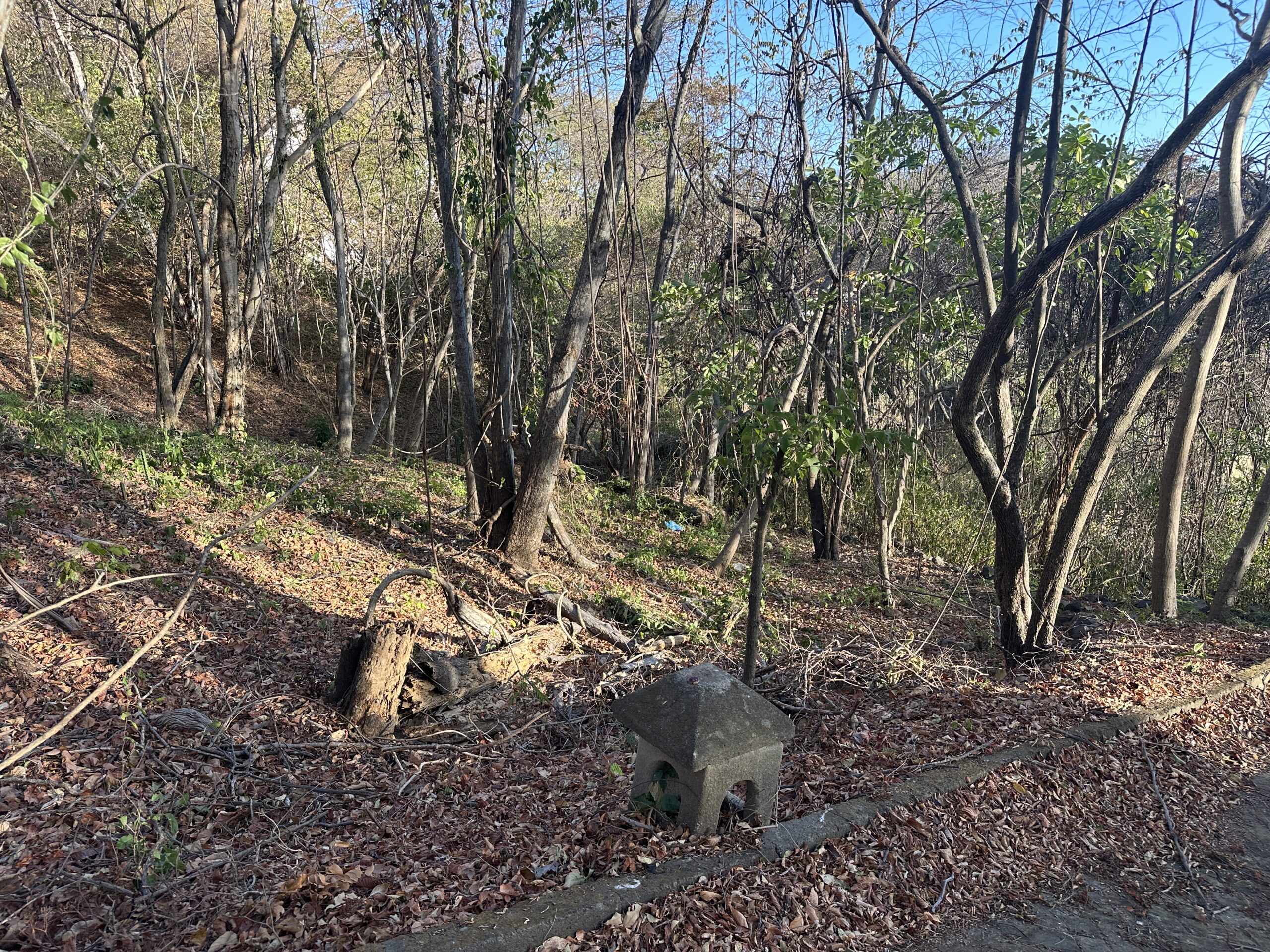 Redonda Bay Seaview Lot - 4