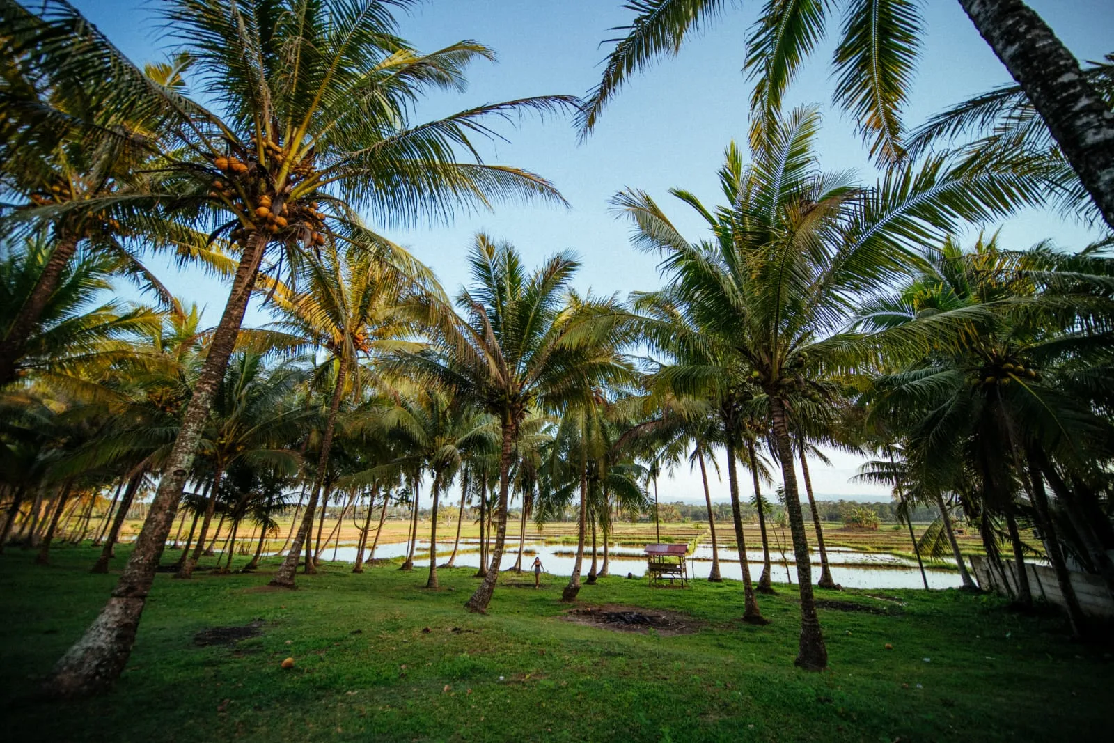 casa-stella-mandiri-beach-krui