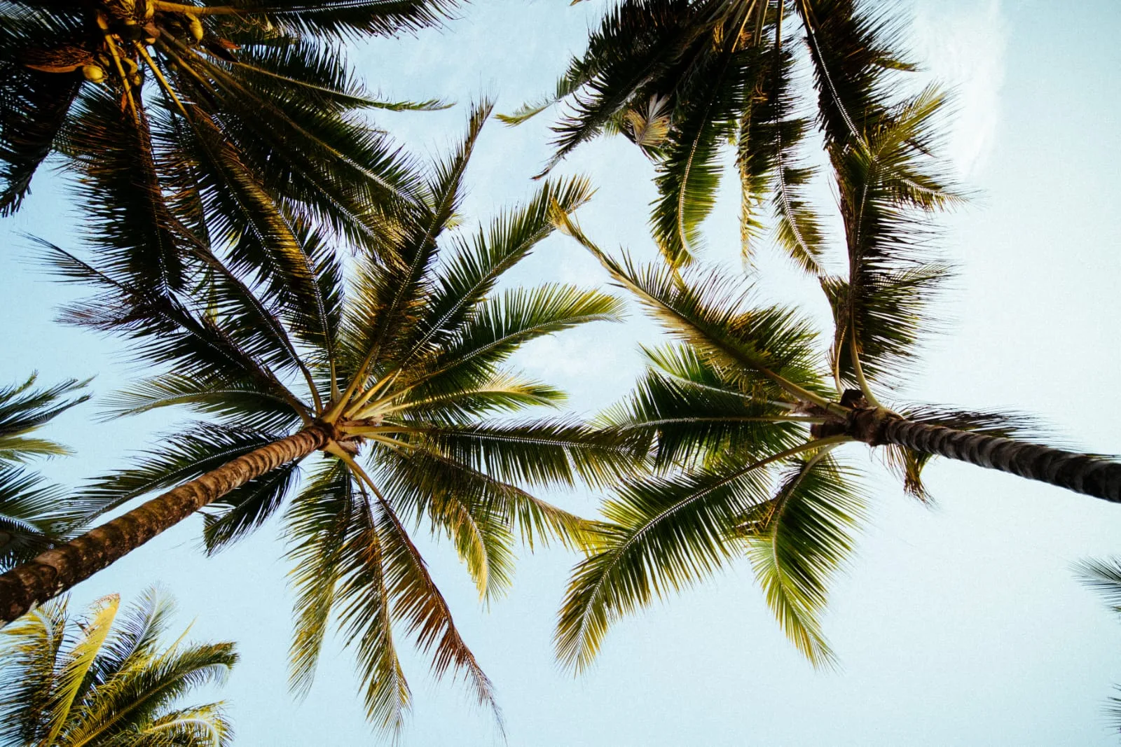 casa-stella-mandiri-beach-krui