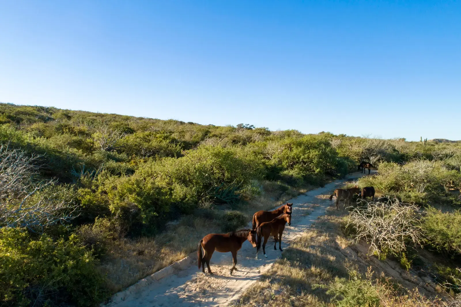 punta-perfecta-development-parcel