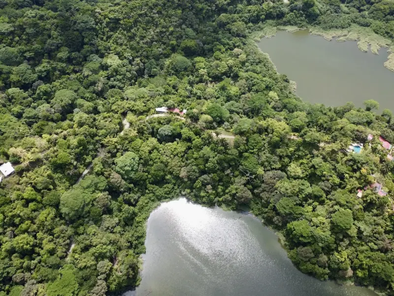 Primary Rainforest 27 Acre Ocean View Property - 2