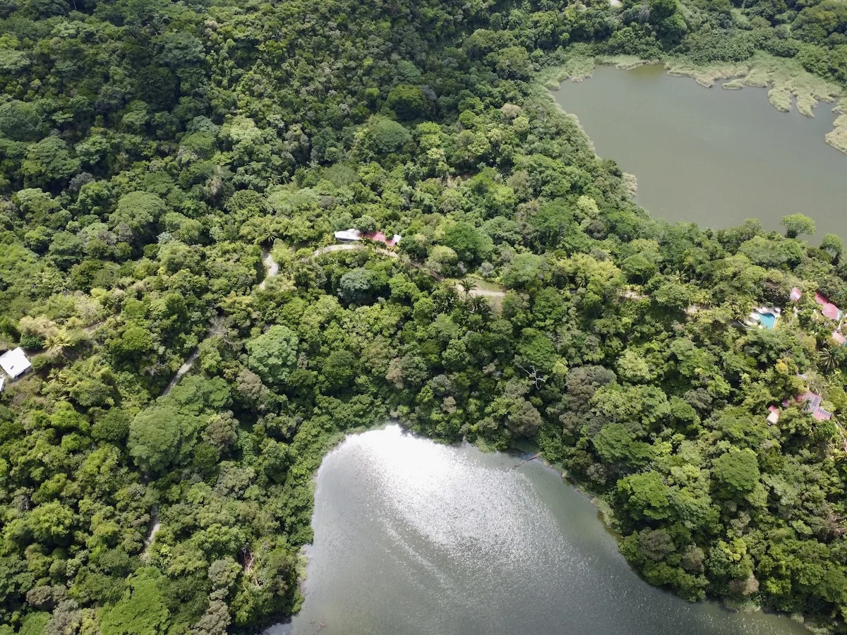 primary-rainforest-27-acre-ocean-view-property