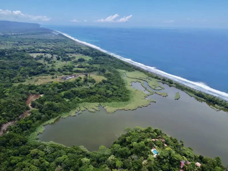 Primary Rainforest 27 Acre Ocean View Property - 4