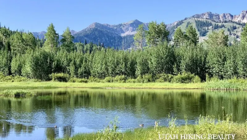 Willow Lakes Surf Community Utah - 3