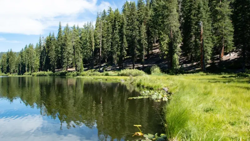 Willow Lakes Surf Community Utah thumbnail 6