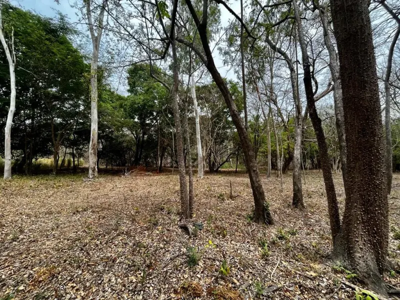 Hacienda Iguana River Lot P7 – Surf Colorados thumbnail 1