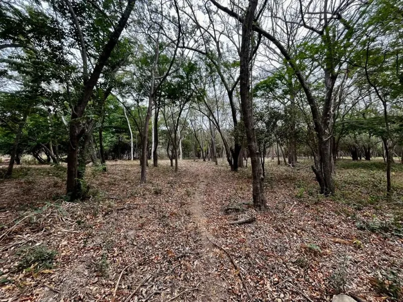Hacienda Iguana River Lot P7 – Surf Colorados - 5