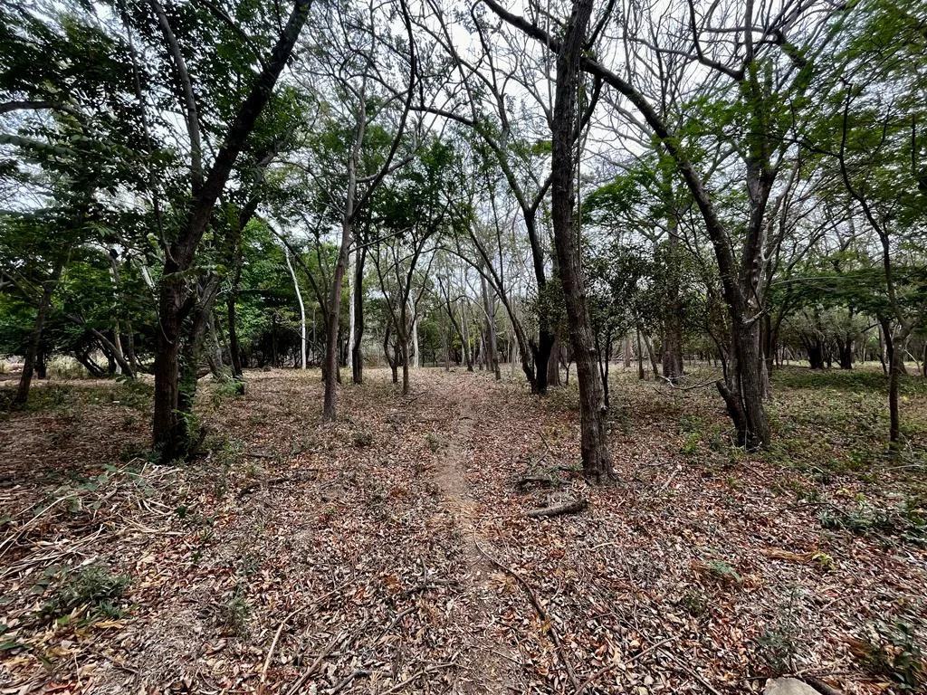 hacienda-iguana-river-lot-p7-surf-colorados