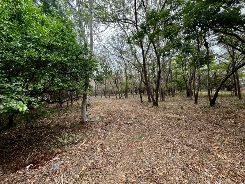 Hacienda Iguana River Lot P7 – Surf Colorados thumbnail 8