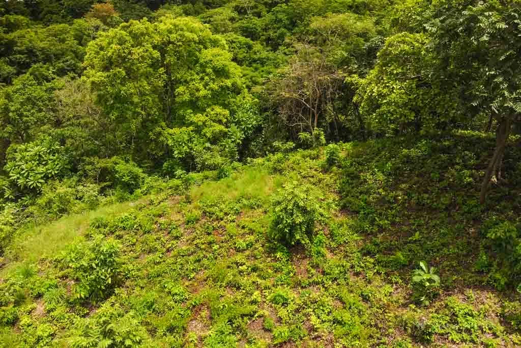 Half-Acre Ocean View Lot in Cambutal