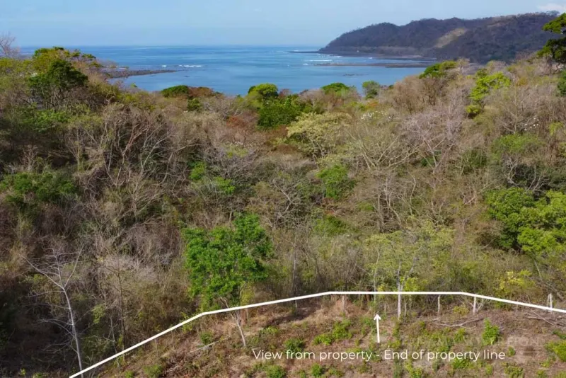Half-Acre Ocean View Lot – Build Your Dream Home thumbnail 7