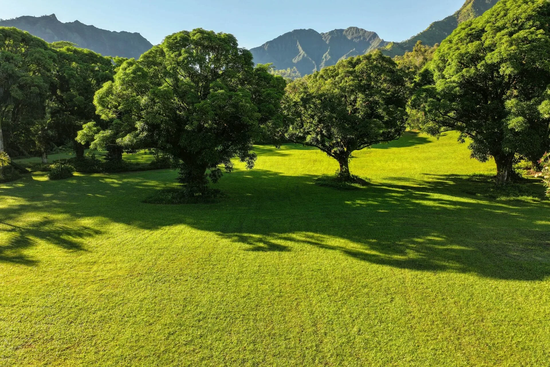 spectacular-hanalei-kauai-property