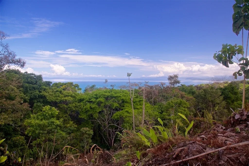 Pavones, Costa Rica