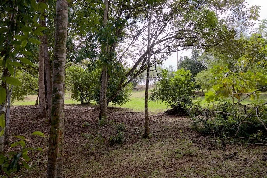 Pavones, Costa Rica