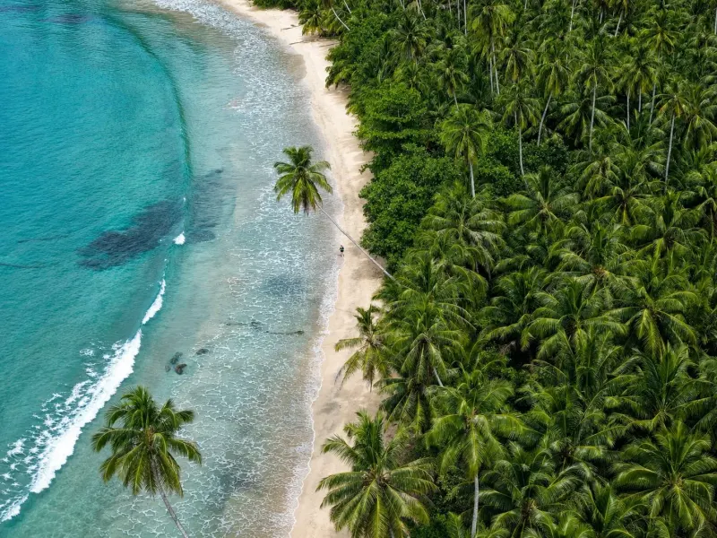South Sipora Mentawai Beachfront Land for Sale thumbnail 1
