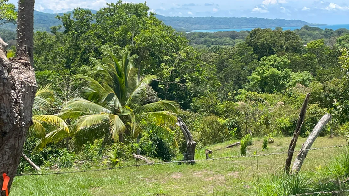Ocean View Buildable Lot - 4
