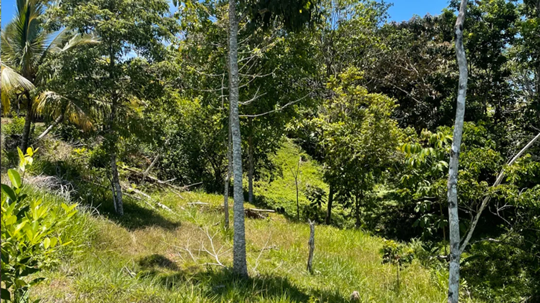 Ocean View Buildable Lot - 5