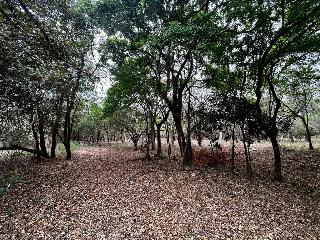 beautiful-gated-community-lot-in-hacienda-iguana