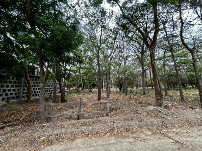 Beautiful Gated Community Lot in Hacienda Iguana thumbnail 8