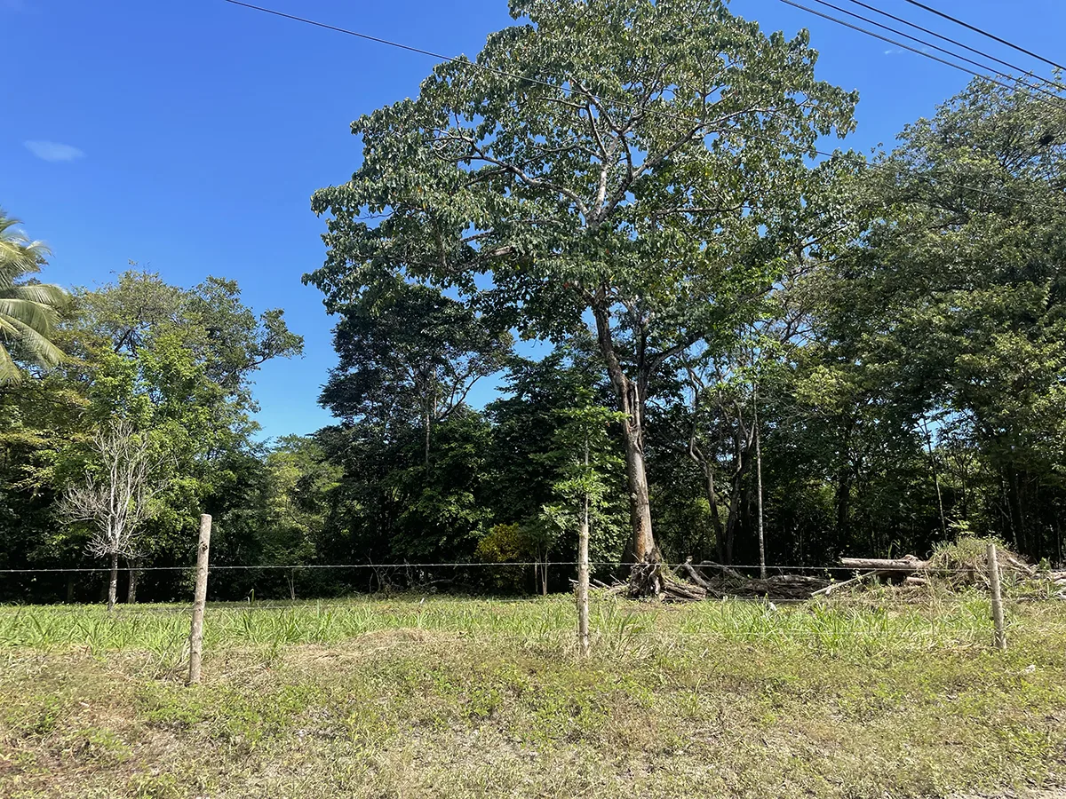 Playa Zancudo, Costa Rica