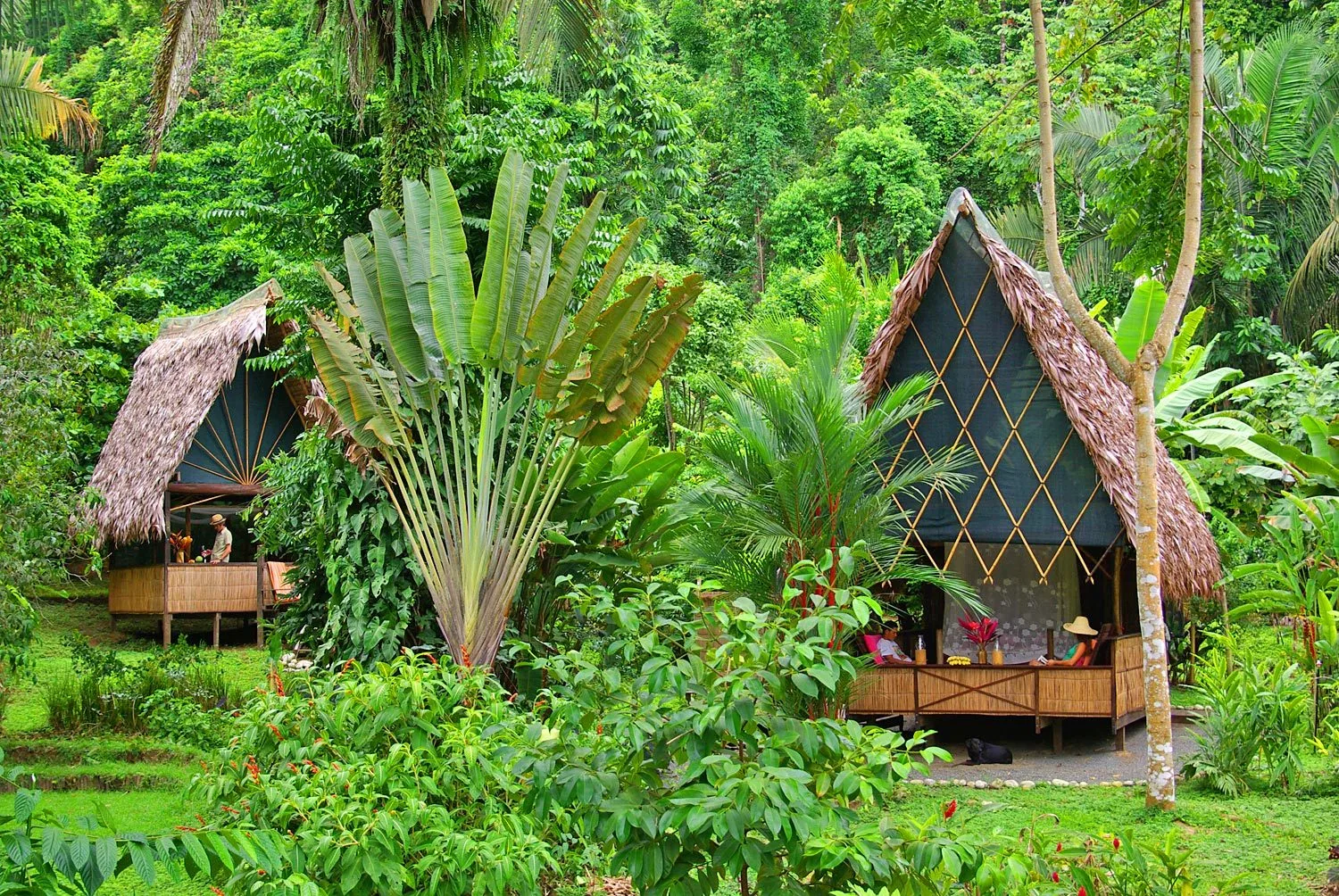 Oceanfront Jungle Eco-Lodge for Sale, Carate, Costa Rica — photo 2