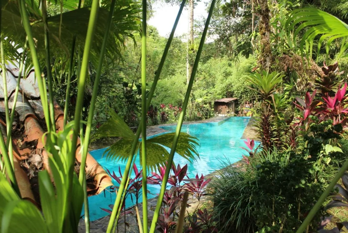 8 Room Ecolodge on 10 Hectares with Jungle and Volcano Views - 2