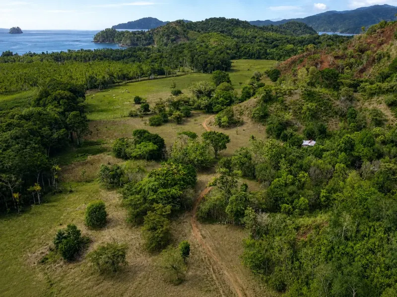 16 Hectares of Ocean View Land in Panama - 2