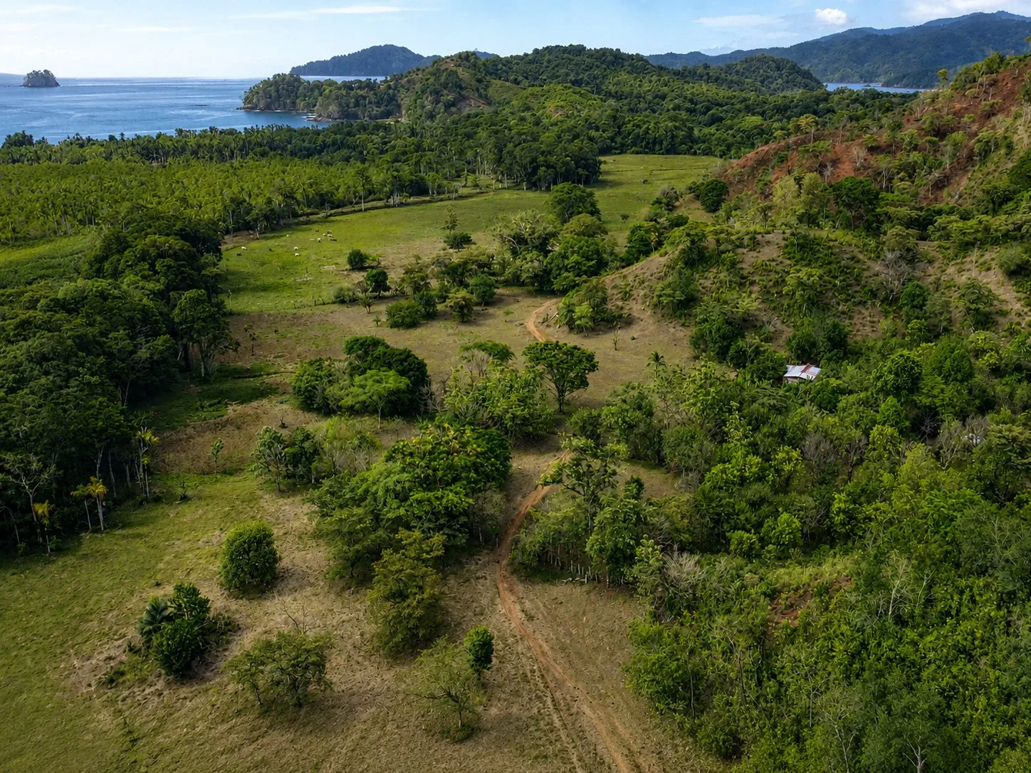 16 Hectares of Ocean View Land in Panama - 2