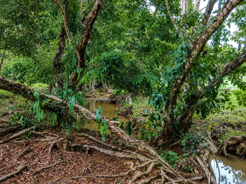 16 Hectares of Ocean View Land in Panama thumbnail 8