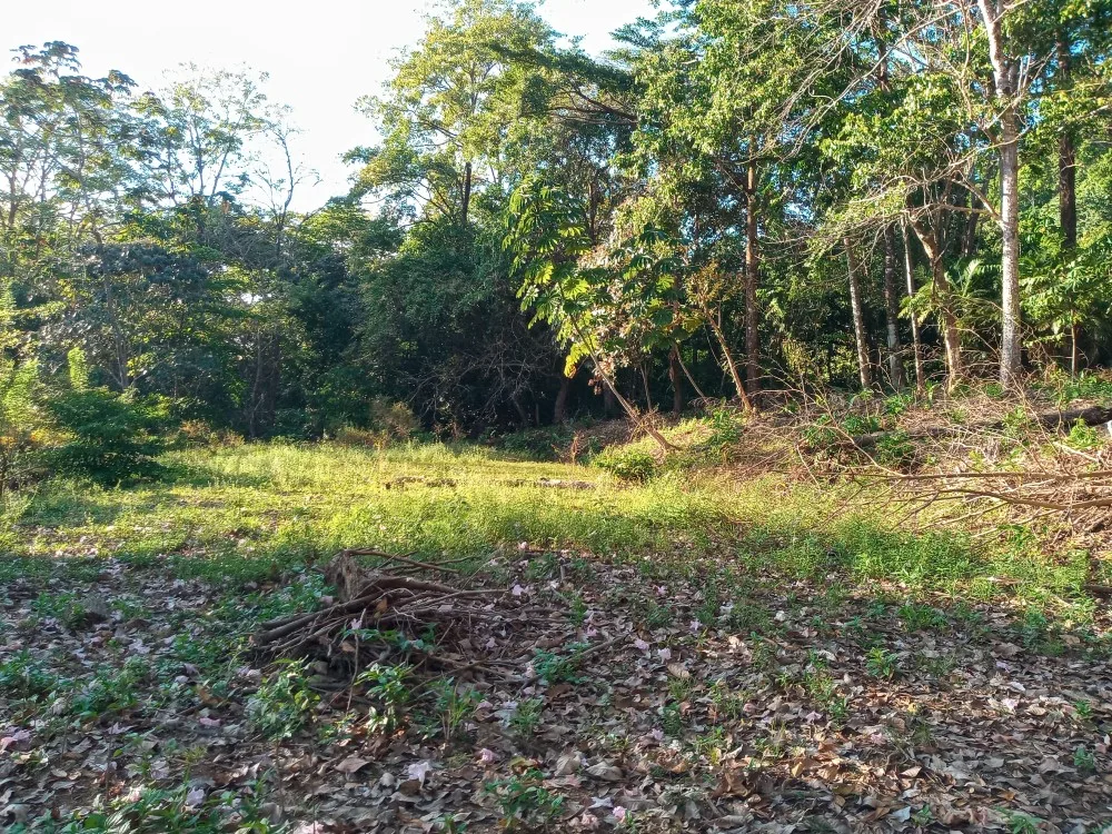 Punta Banco Pavones Titled Lots For Sale, Punta Banco, Costa Rica — photo 5