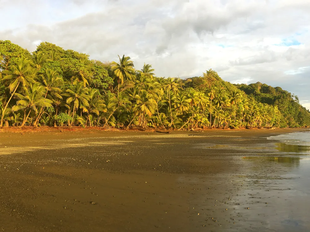 punta-banco-pavone-titled-lots-for-sale