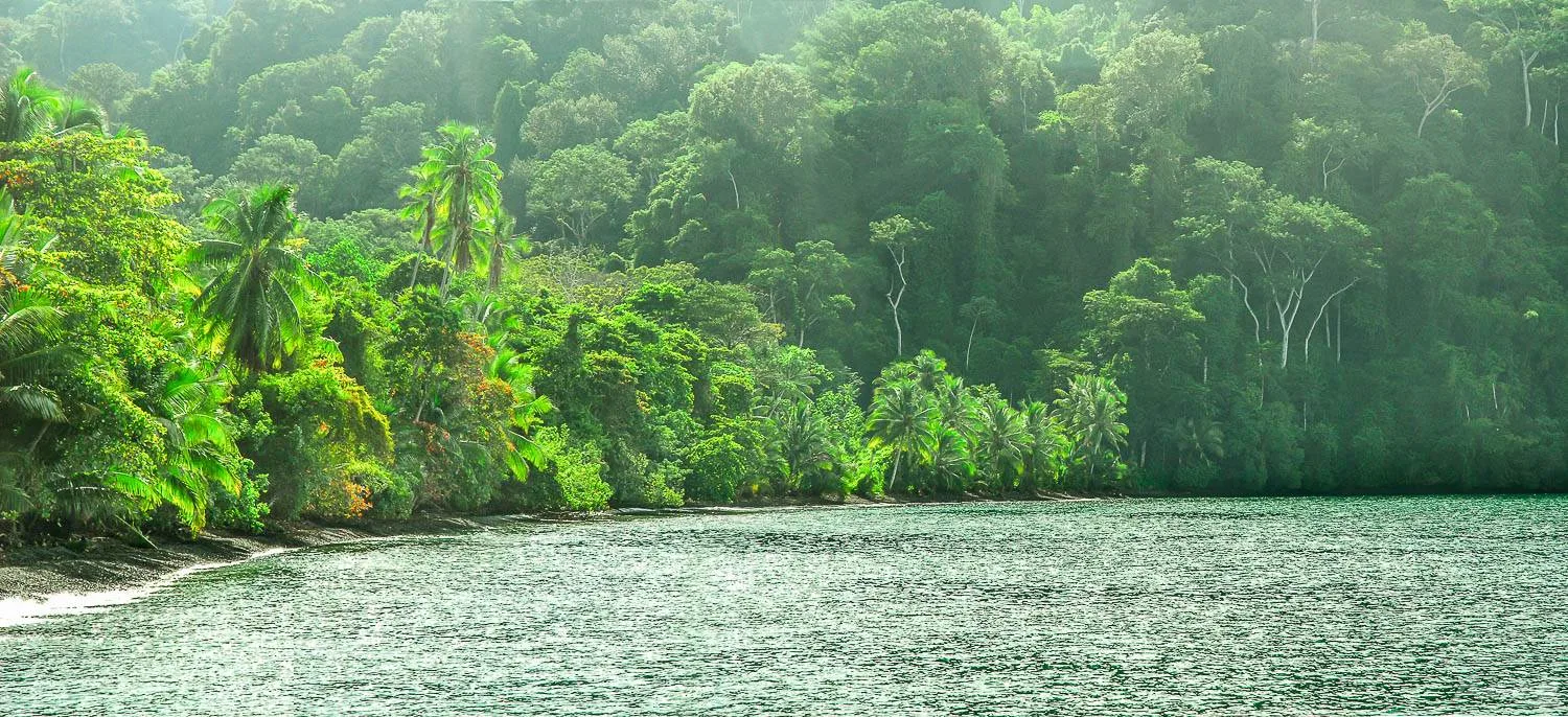 osa-waterfront-lodge-for-sale