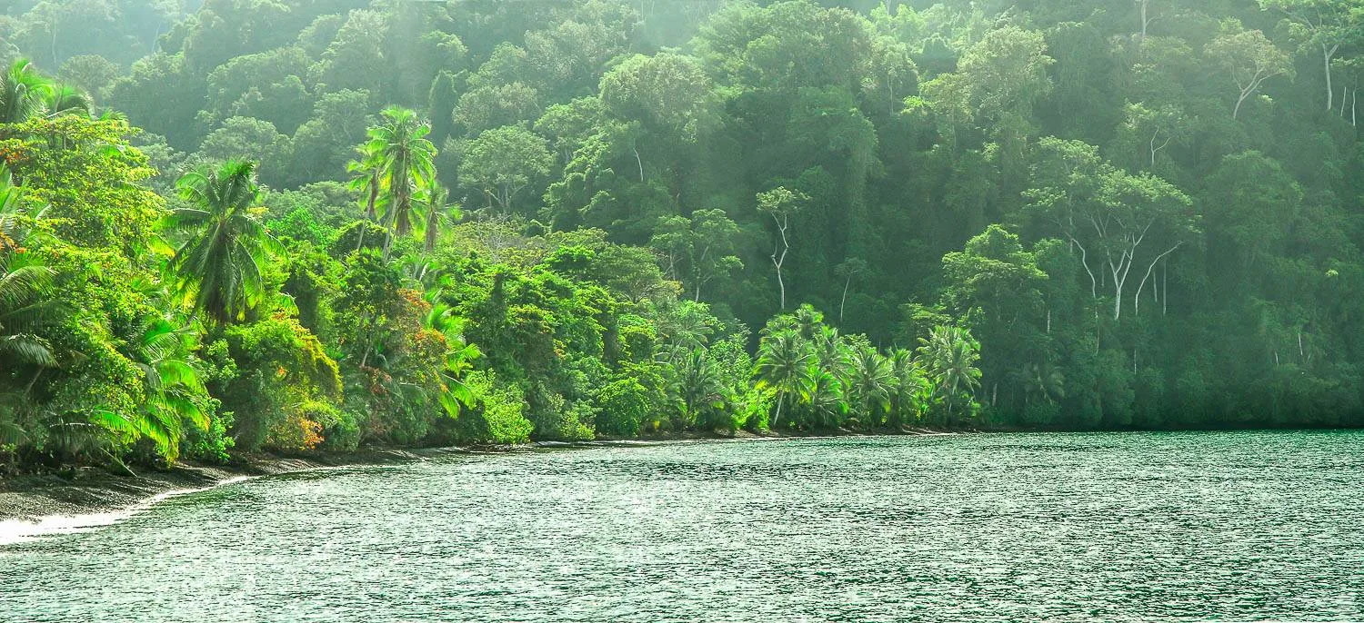 osa-waterfront-lodge-for-sale