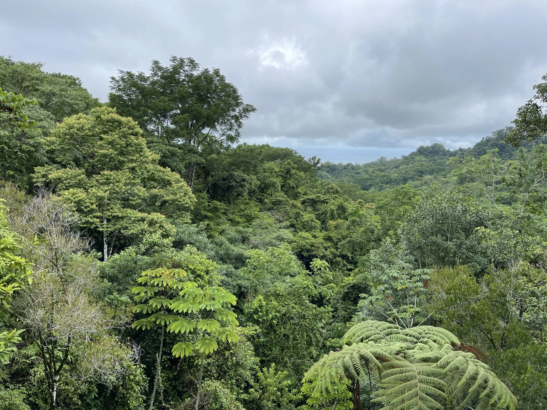 sunset-oceanview-home-&-guest-cabin-surrounded-by-rainforest
