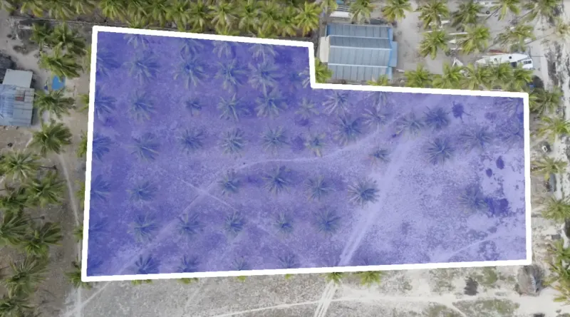 Beachfront Land on Rote Island thumbnail 1