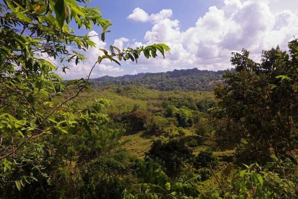 7-jungle-acres-with-ocean-view-pavones
