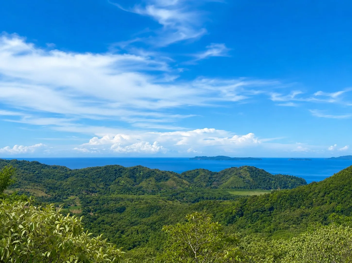 Pixvae, Panama
